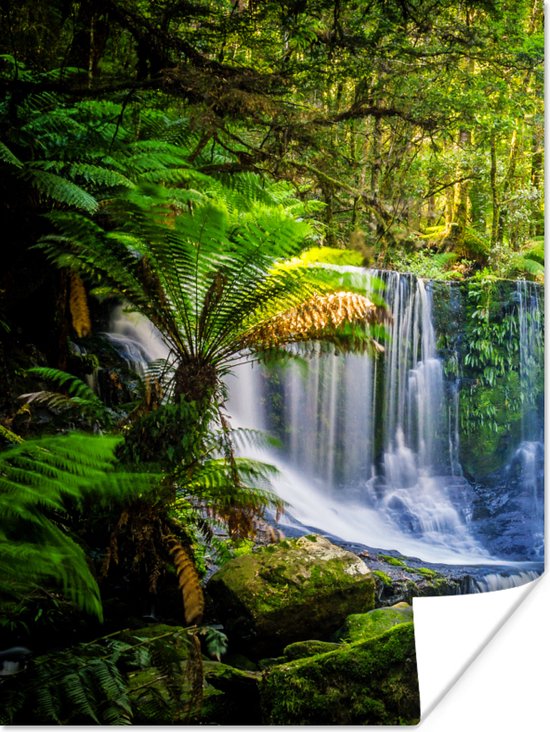 Poster Jungle - Waterval - Australië - Planten - Natuur - 60x80 cm - Kerstversiering - Kerstdecoratie voor binnen - Kerstmis - Poster Jongenskamer - Poster Kinderkamer Jongen