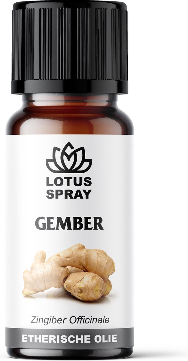 Goedkoopste Gember - Etherische olie [10ml]