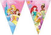 Disney Vlaggenlijn Princess Live Your Story 4,3 M