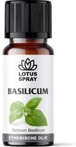 Basilicum - Etherische olie [10ml]