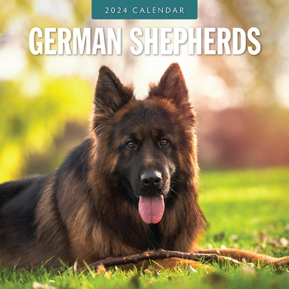 German Shepherds Kalender 2024 Bol Com   1200x1200 