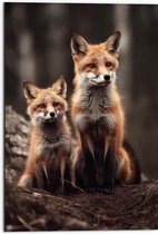 Dibond - Moeder vos en kind zitten in een bos - 50x75 cm Foto op Aluminium (Met Ophangsysteem)