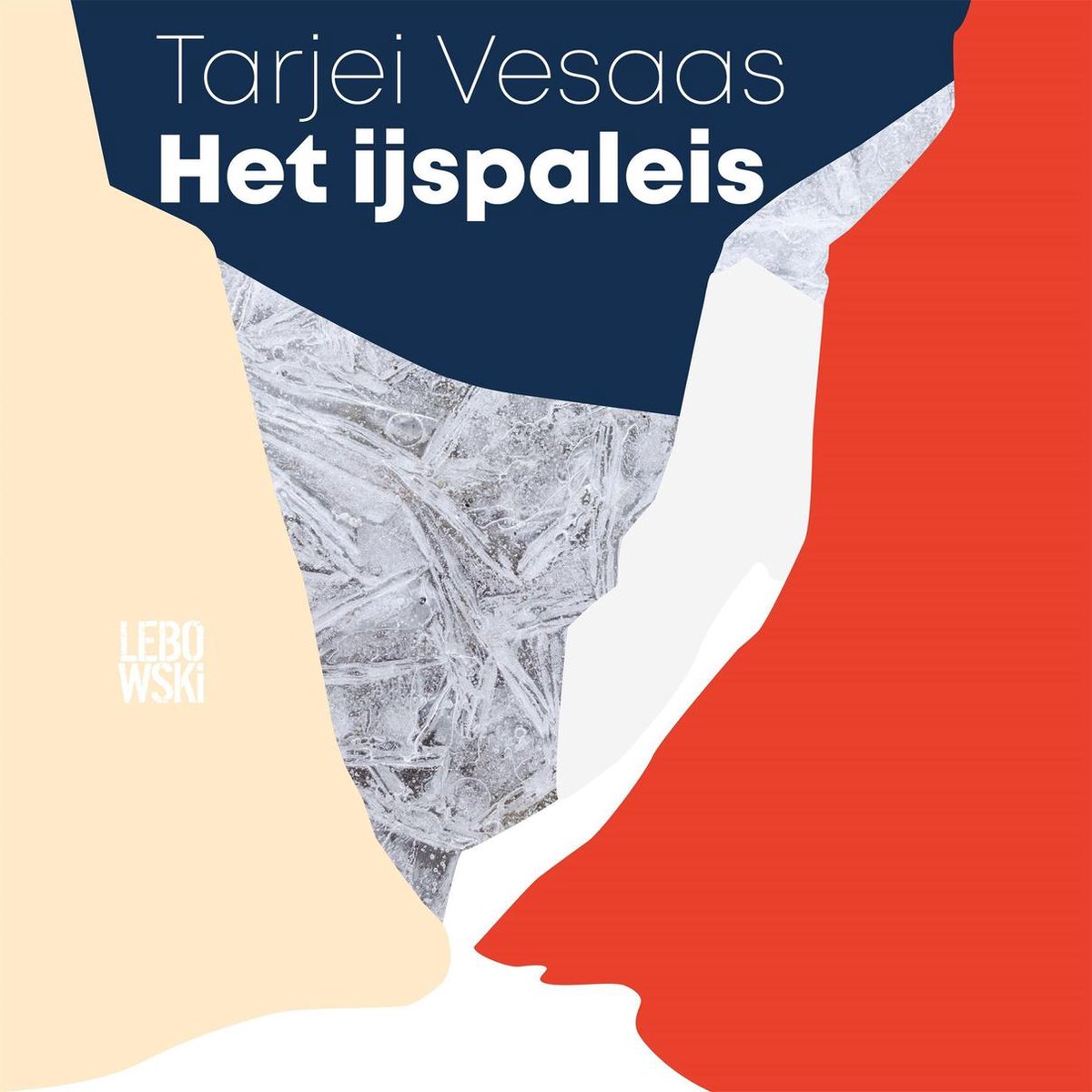Omslag van Het ijspaleis