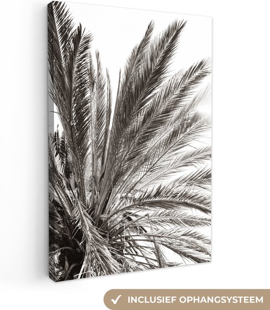 Canvas Schilderij Palmboom - Tropisch - Zwart - Wit - 40x60 cm - Wanddecoratie