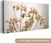 Canvas Schilderij Droogbloemen - Beige - Wit - Planten - 80x40 cm - Wanddecoratie