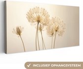 Canvas Schilderij Zonlicht - Paardenbloem - Botanisch - Bloemen - 80x40 cm - Wanddecoratie