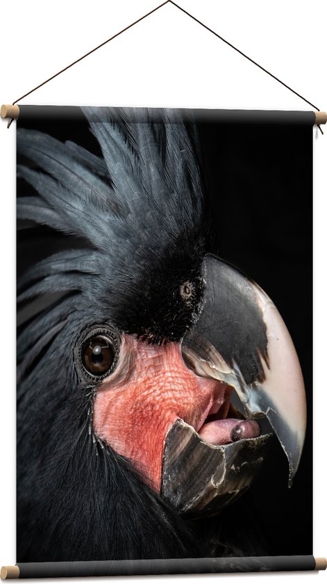 Textielposter - Zwartkleurige Kaketoe Vogel tegen Zwarte Achtergrond - 60x90 cm Foto op Textiel