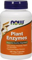 Planten Enzymen (120 capsules)