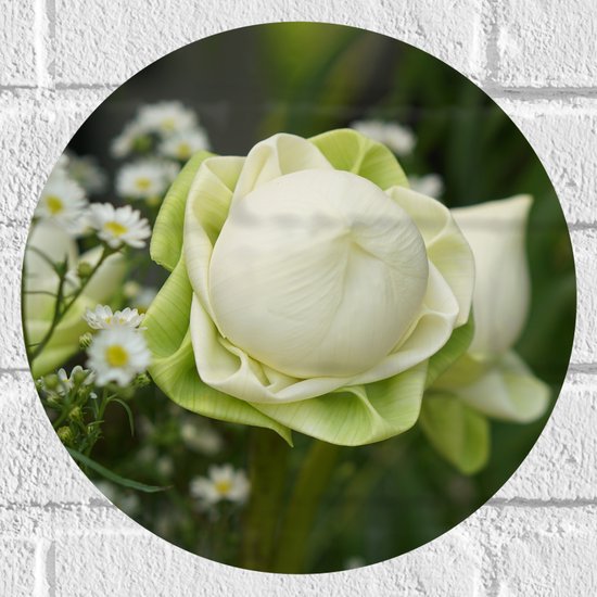Detailopname van een ronde muursticker met een bloeiende witte lotusbloem en kleine witte bloemetjes.