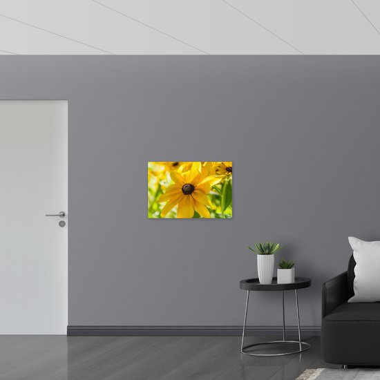 Poster (Mat) - Gele Ruige Rudbeckia Bloemen - 75x50 cm Foto op Posterpapier met een Matte look