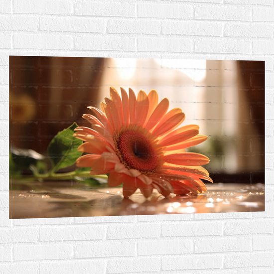 Muursticker - Oranje Gerbera Bloem op Tafel met Waterdruppels - 105x70 cm Foto op Muursticker