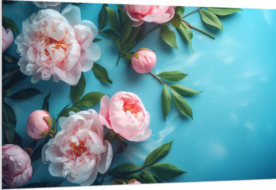 PVC Schuimplaat - Chinese Pioen Bloemen op Blauwe Achtergrond - 150x100 cm Foto op PVC Schuimplaat (Met Ophangsysteem)
