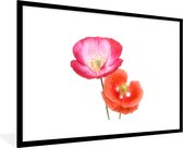 Cadre photo avec affiche - Coquelicots colorés - 120x80 cm - Cadre pour affiche