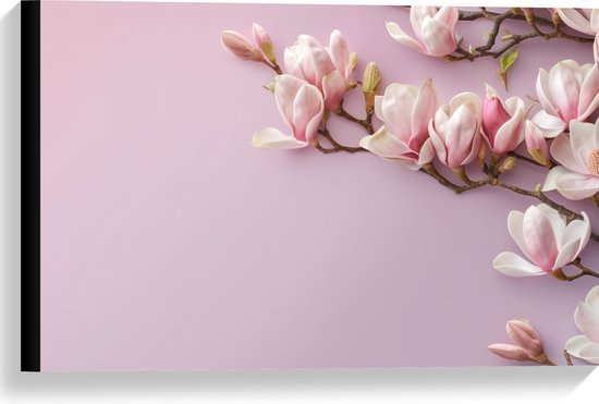 Canvas - Roze Magnolia Bloemen bij Roze Achtergrond - 60x40 cm Foto op Canvas Schilderij (Wanddecoratie op Canvas)