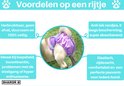 Voordelen van loopsheidbroekjes: herbruikbaar, duurzaam, anti-lek, 6-laags bescherming, elastisch, comfortabel. Ideaal voor loopsheid, incontinentie.