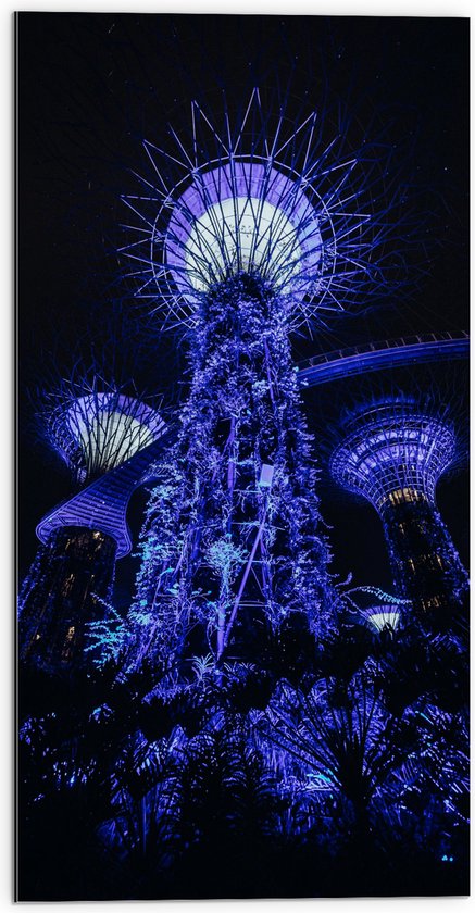 Dibond - Bomen - Planten - Toren - Paars - Blauw - 50x100 cm Foto op Aluminium (Met Ophangsysteem)