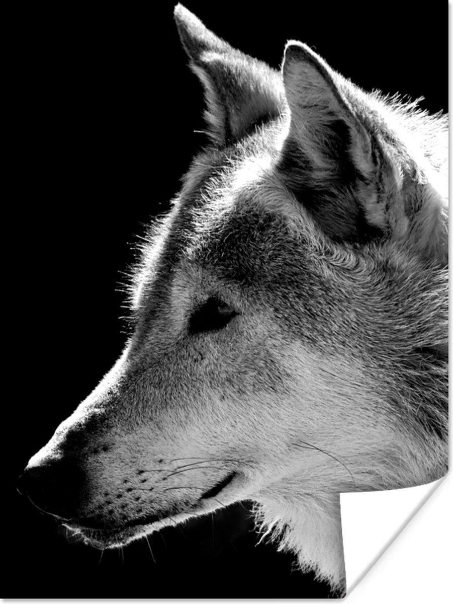 Poster Wilde dieren - Wolf - Zwart - Wit - 90x120 cm