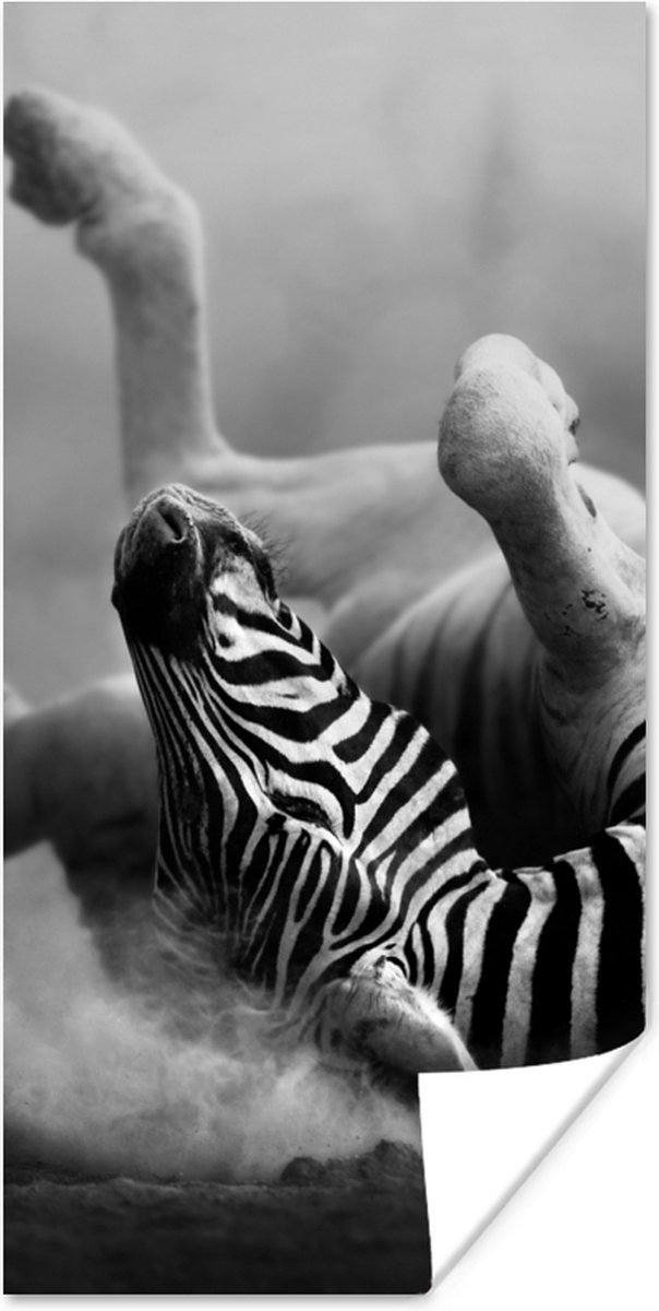 Poster Zebra - Dieren - Zwart - Wit - 20x40 cm