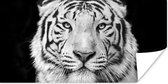 Poster Tijger - Zwart - Wit - Portret - Dieren - 120x60 cm