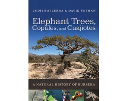 Elephant Trees, Copales, and Cuajiotes