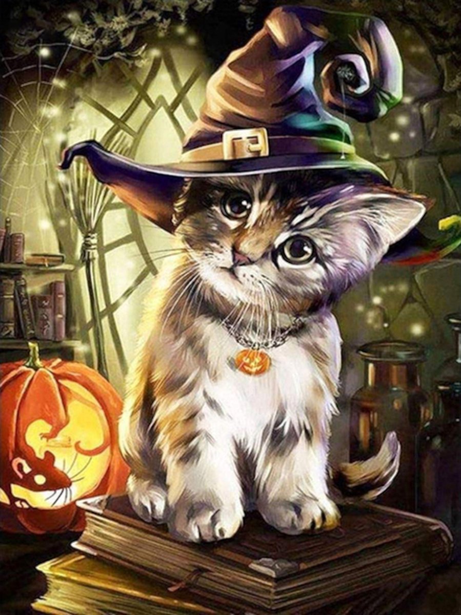 Diamond painting halloween heks kitten 30x40cm vierkante steentjes