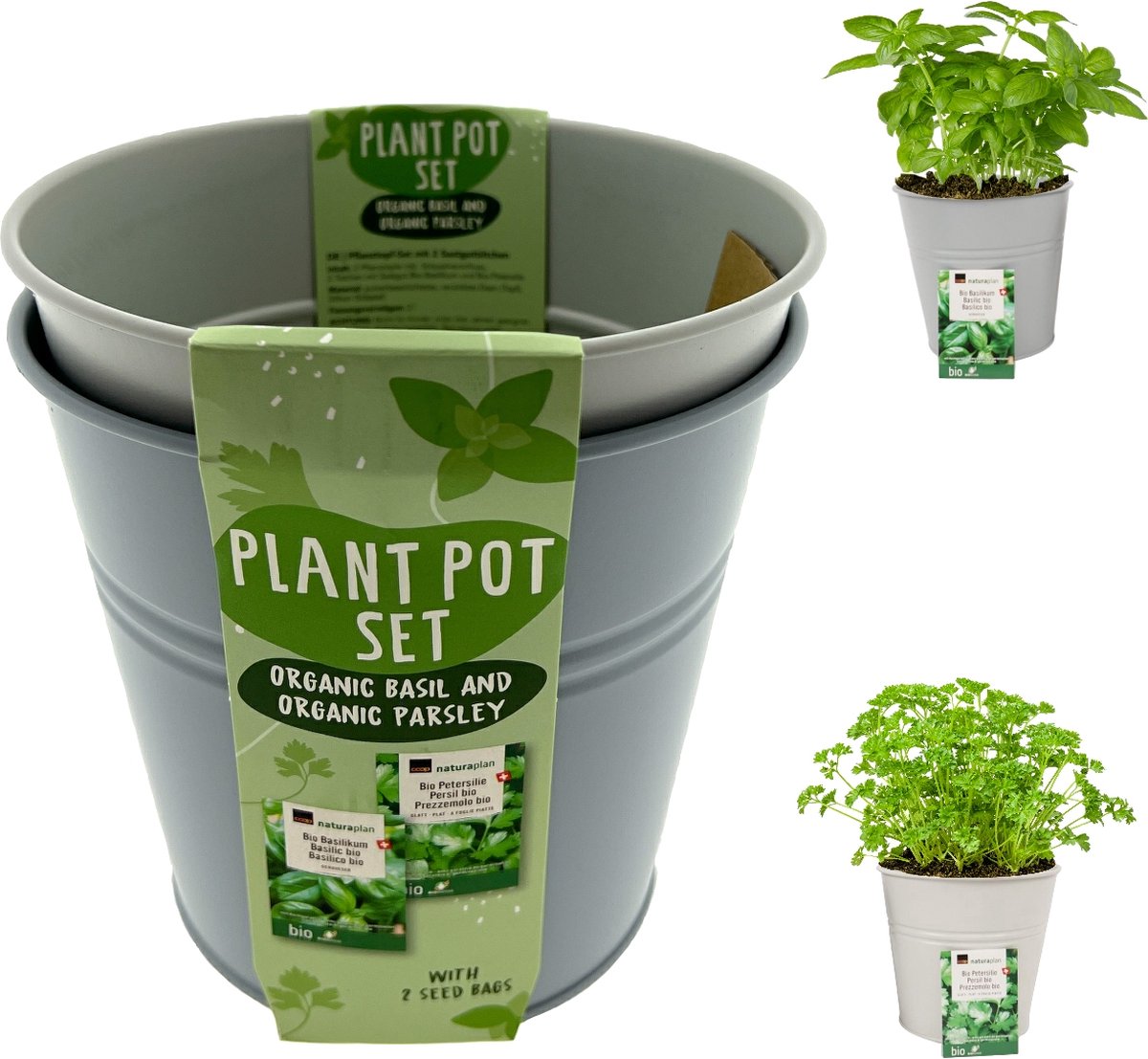 Kweekset bio basilicum en peterselie incl. 2 bloempotjes 16 x 15 cm