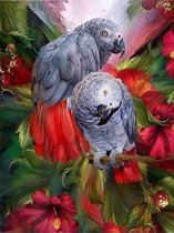 Denza - Diamond painting grijze roodstaart papegaai 40 x 50 cm engel volledige bedrukking ronde steentjes direct leverbaar - vogel papagaai- bloemen