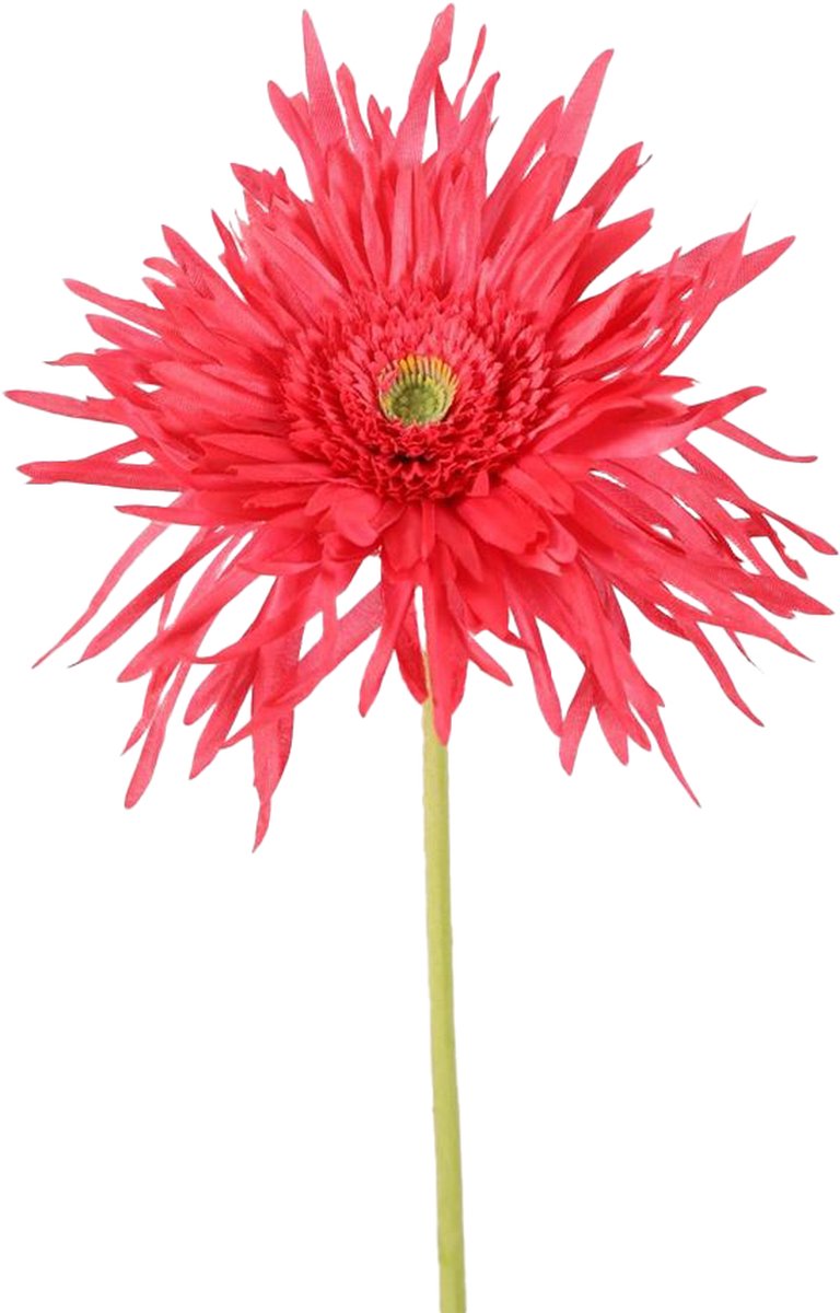 Viv! Home Luxuries Gerbera spinnekop - zijden bloem - fuchsia - 70cm