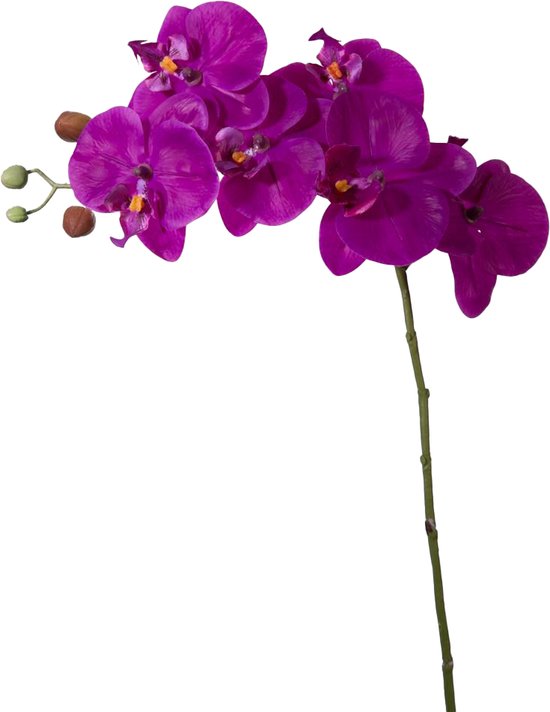 Viv! Home Luxuries Orchidee - zijden bloem - paars - 68cm