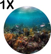 BWK Luxe Ronde Placemat - Vissen en Koraal onder Water - Set van 1 Placemats - 50x50 cm - 2 mm dik Vinyl - Anti Slip - Afneembaar