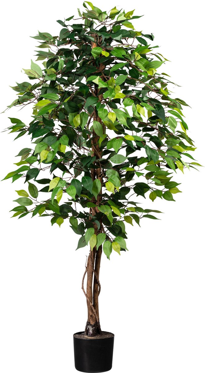 Kopu Kunstplant Ficus 150 cm in pot - 840 bladeren met Natuurstam Groen