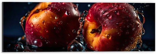 Dibond - Eten - Fruit - Water - Druppels - Nat - Kleuren - 60x20 cm Foto op Aluminium (Wanddecoratie van metaal)