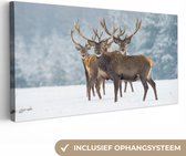 Canvas schilderij - Herten - Winter - Dieren - Natuur - Foto op canvas - 80x40 cm - Muurdecoratie - Schilderijen op canvas