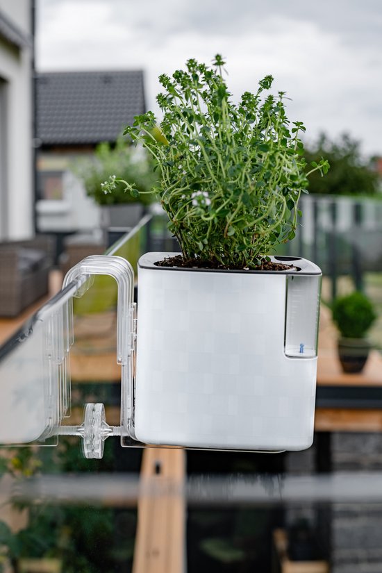 Kruidenplant in witte bewateringspot op glazen balkonreling.