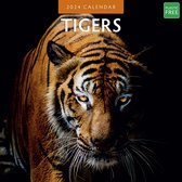 Tigers (Tijgers) Kalender 2024