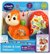 VTech Baby Ontdek & Leer Eekhoorn - Educatief Speelgoed - Cijfers, Tellen en Muziek - Van 9 tot 36 Maanden