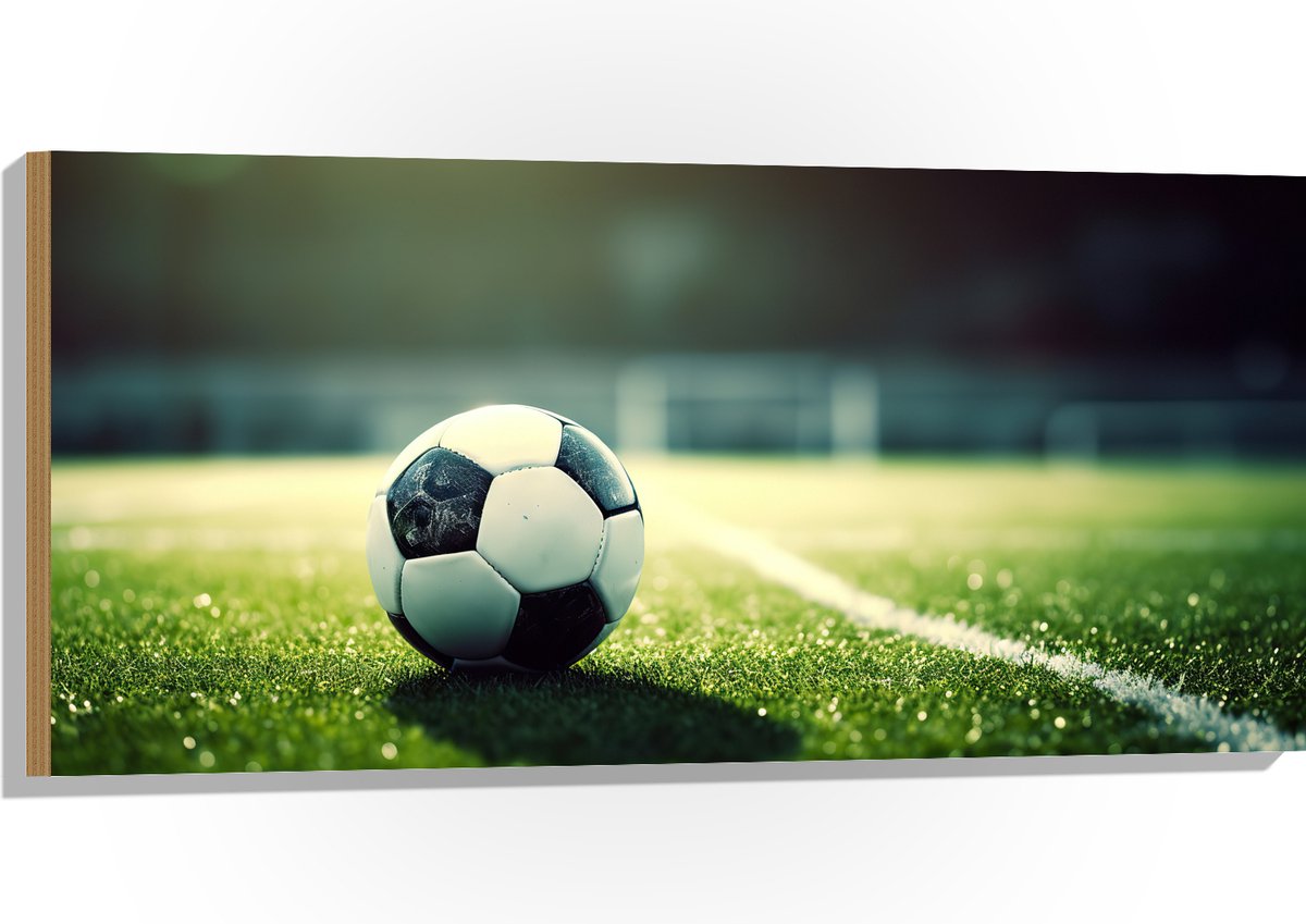 Hout - Veld - Bal - Voetbal - Lijn - 100x50 cm - 9 mm dik - Foto op Hout (Met Ophangsysteem)
