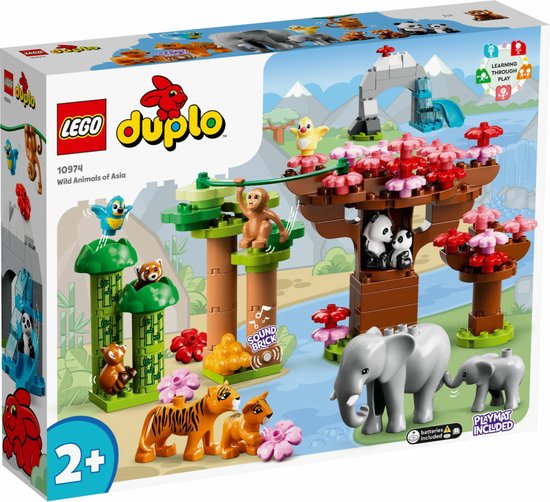 Ensembles LEGO® DUPLO® pour les constructeurs âgés de 2 ans ou