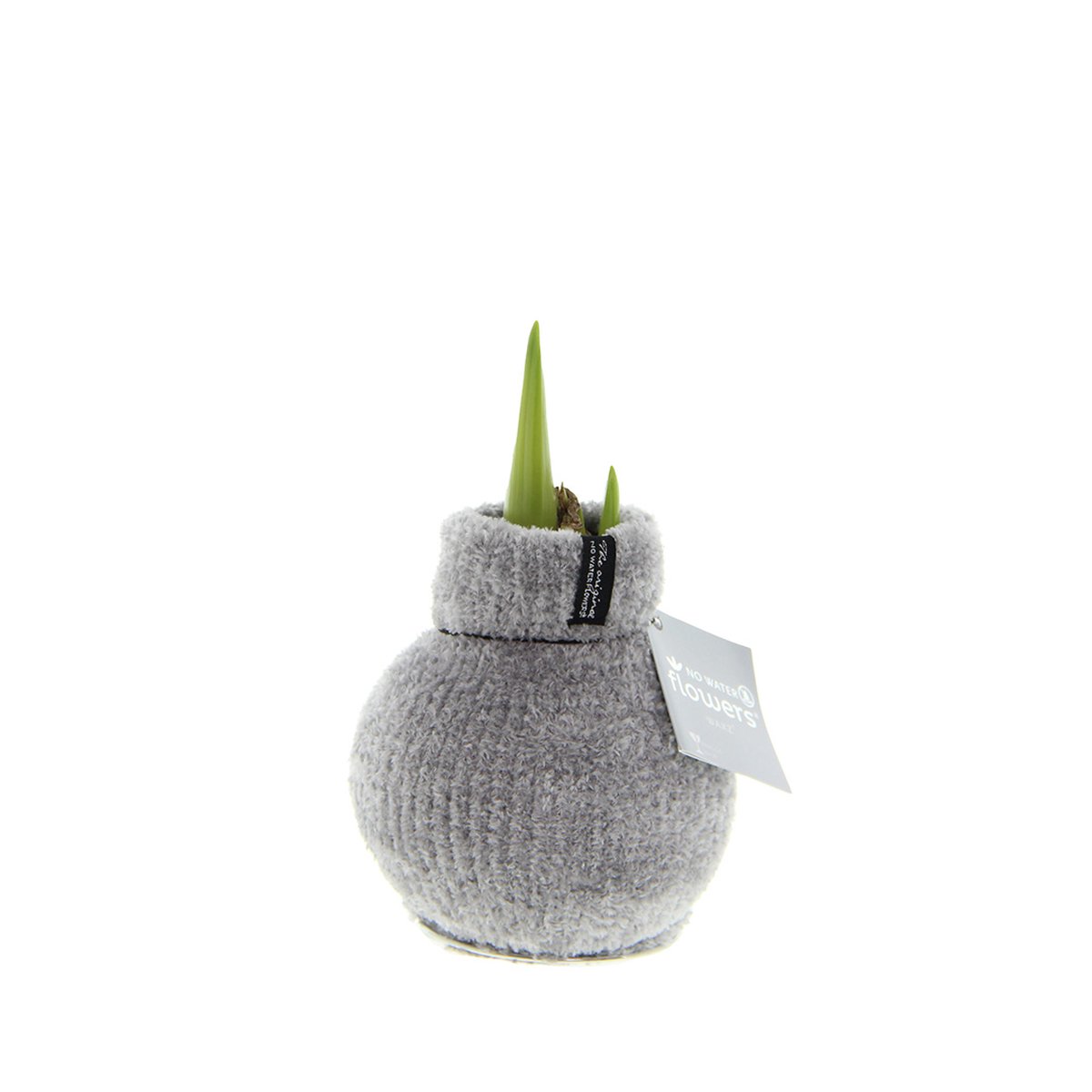 No Water Flowers® Fashionz Cozy Fluffy Grey