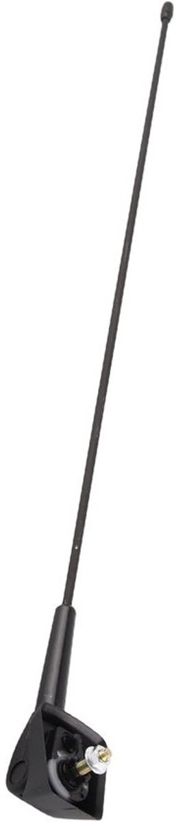 Autoradioantenne - FM AM-mast - Voor signaalontvangst - Duurzaam rubbermateriaal - 48 cm lengte - Zwart