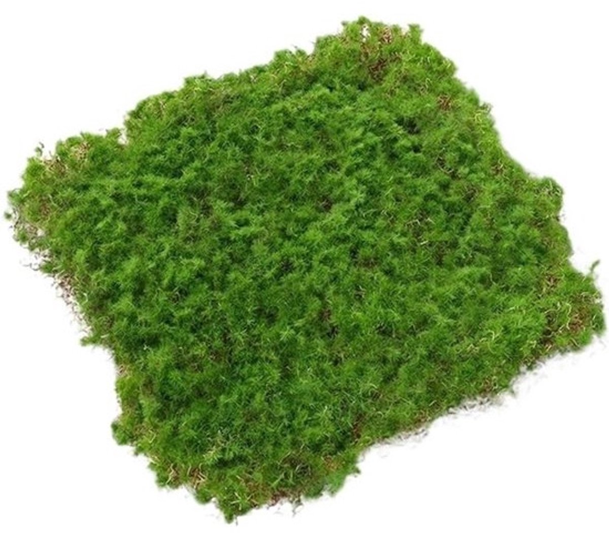 Kunstgras - decoratie - Mos tapijt - Buiten decoreren - Natuurlijk uiterlijk - 20x20 of 30x30 cm - Groen