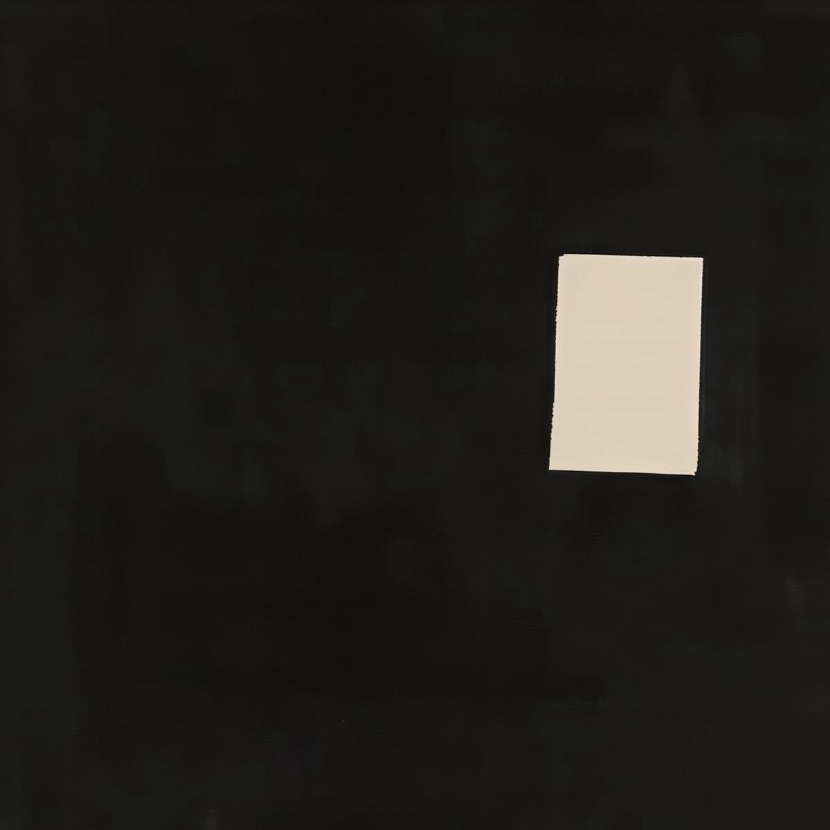 Psychotic Monks - Private Meaning First (LP)