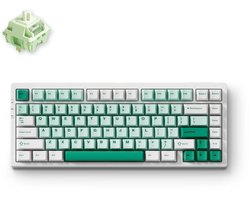 MCHOSE G75 Pro - Mechanisch Gaming Keyboard - PC Behuizing - Matcha Latte Switch V2 - 75% Layout - Cherry Profile - PBT Double Shot - Gasket Mount - 8000mAh - 3 Modi - Groen