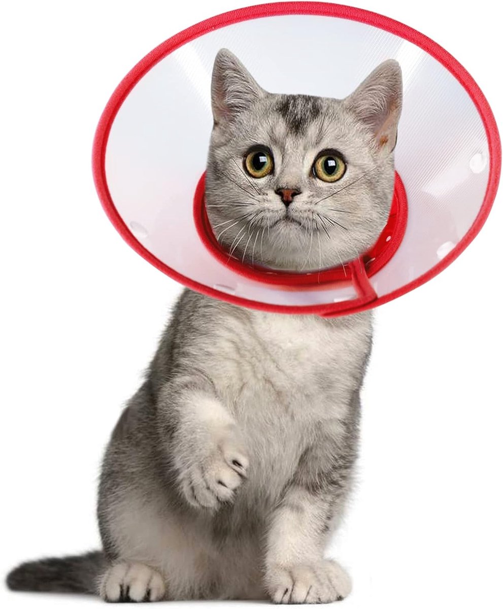Vivifying Pet Cone Adjustable 15.8-20.5cm Light Elizabethan Collar for Puppies, Small Dogs and Cats (Red) - ShopVlot
