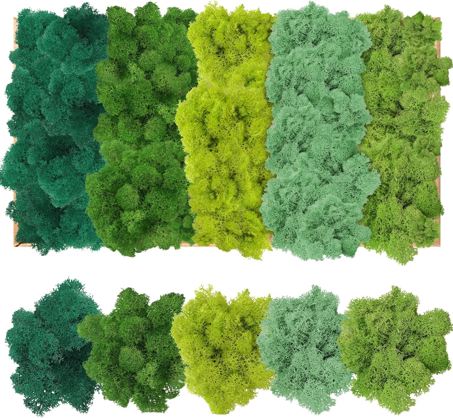 IJslands mos voor creativiteit - 200 g - 5 kleuren - duurzaam en authentiek voor decoratie - ShopVlot