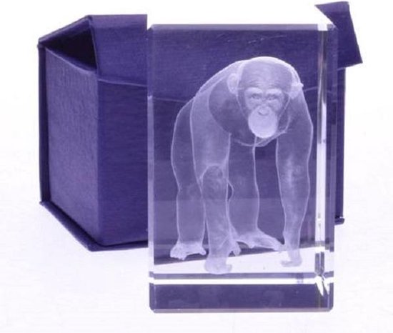 Glasblokje chimpansee