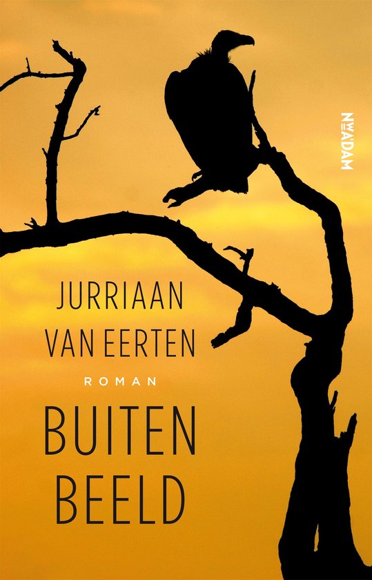 Buiten beeld - cover