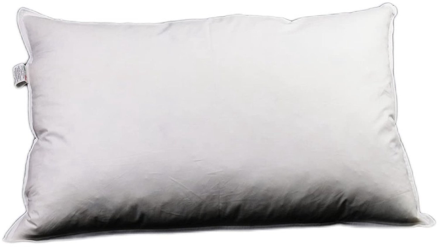 Duraxl Ganzenveren kussen - Zacht - Hypoallergeen - 50 x 80 cm Wit