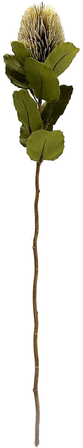 homebound by ky Kunsttak Banksia 59cm off-white Beige