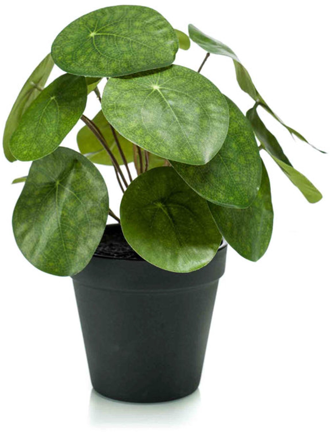 Emerald Kunstplant in pot Pilea 22cm - Kunstplant voor binnen Groen